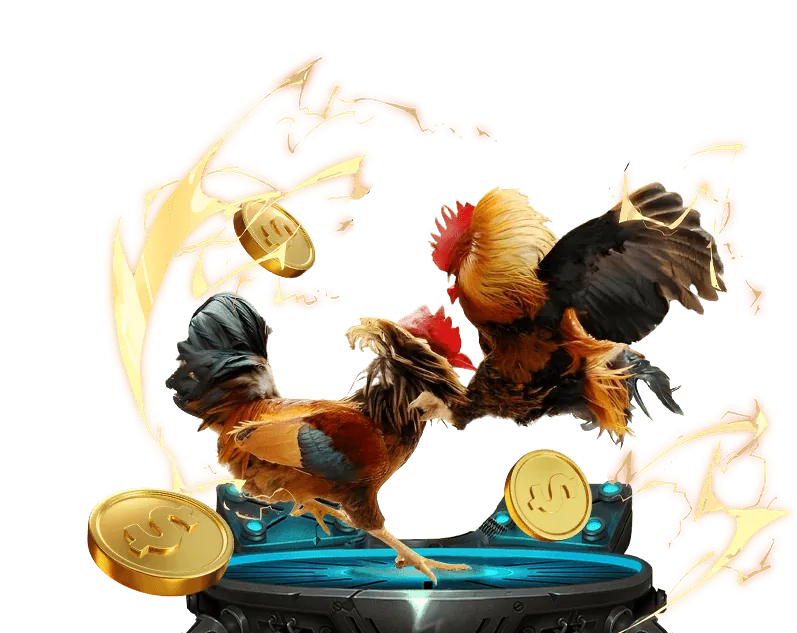 Hình ảnh đá gà trực tiếp